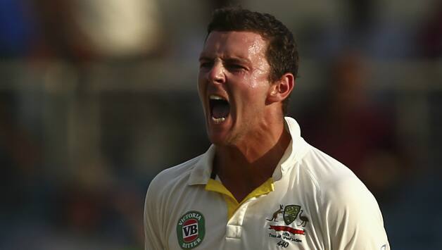Josh Hazlewood's previous five-wicket haul was against India, in which he took 5 wickets for 68 runs © Getty Images