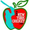 New York Cricket