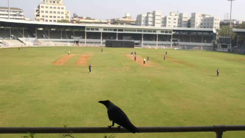 Jharkhand on the brink of victory against Mumbai
