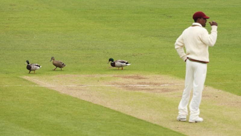 West Indies cricket needs more than a bunch of quacks to heal them &Acirc;&copy; Getty Images