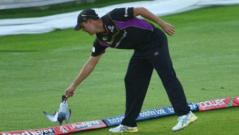 Playing in an era when Glenn McGrath was a champion, Jacques Rudolph (above) tried to get one up, but got the wrong pigeon in the end &Acirc;&copy; Getty Images
