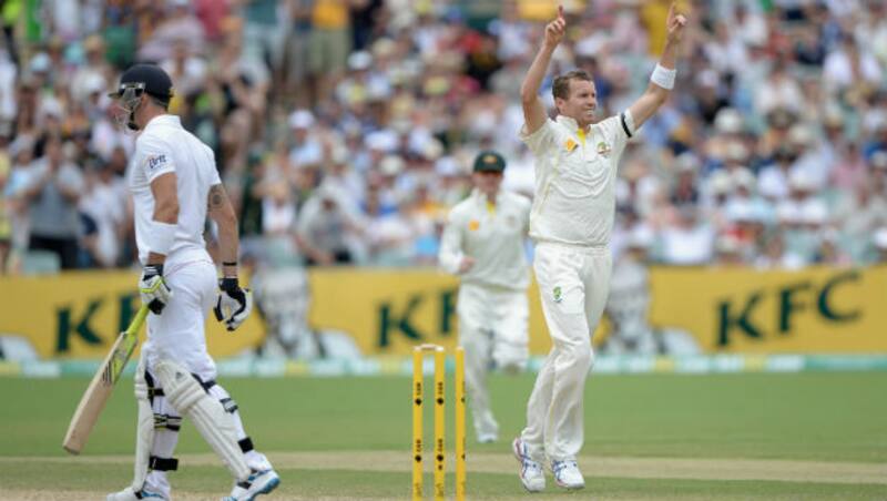 Peter Siddle (right) celebrates after bowling Kevin Pietersen © Getty Images