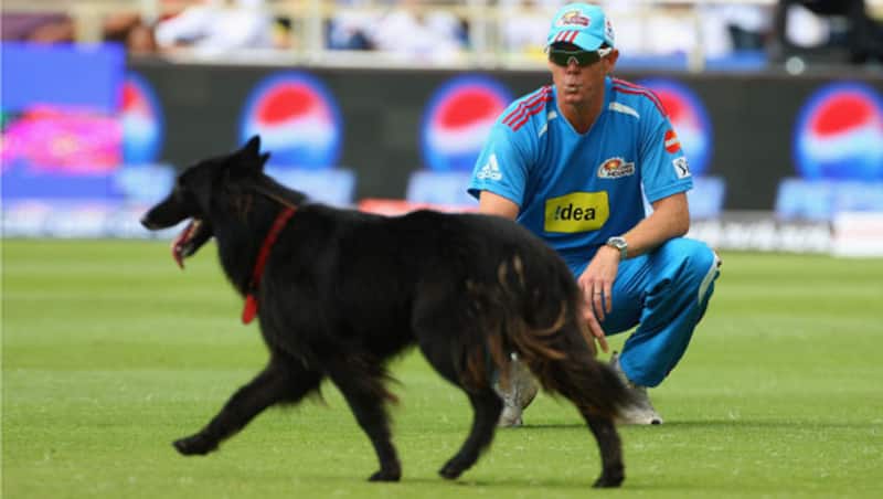 There are some that even Pollock cannot put on a leash &Acirc;&copy; Getty Images