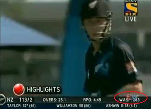WASP has been trending in the cricketing world since Sunday's ODI encounter between India and New Zealand. Photo Courtesy: Paul McClean's Youtube channel
