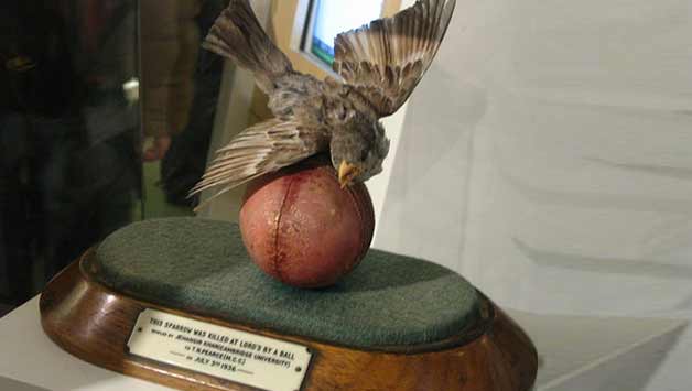 The ‘Sparrow’ can be seen in the Memorial Gallery at Lord’s. Photo Courtesy: Prassana Karmarkar