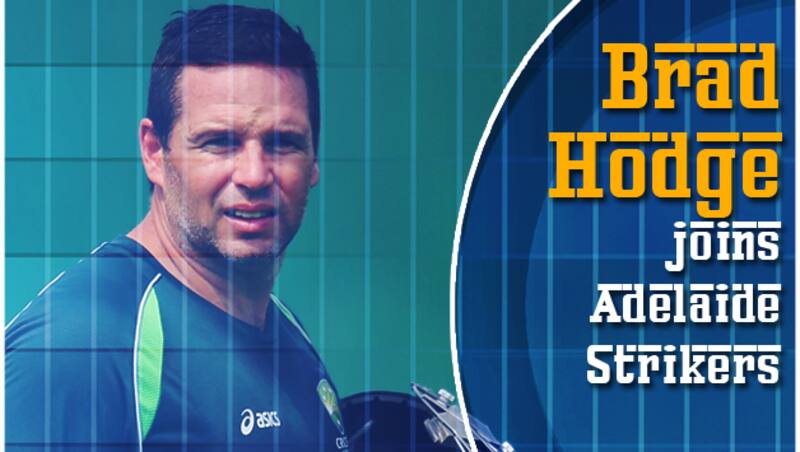 Brad Hodge &Acirc;&copy; Getty Images 