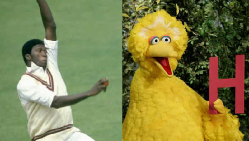 Big-Birds