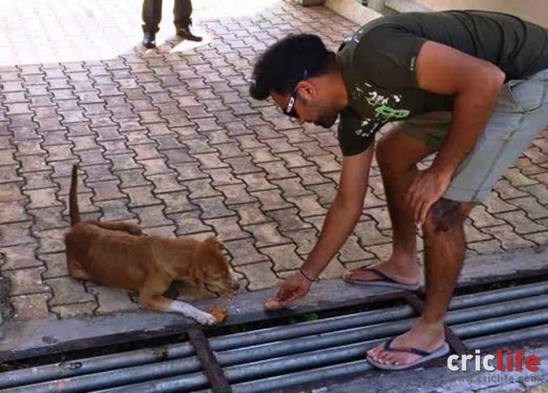 Rohit Sharma’s kind gesture for stray dog