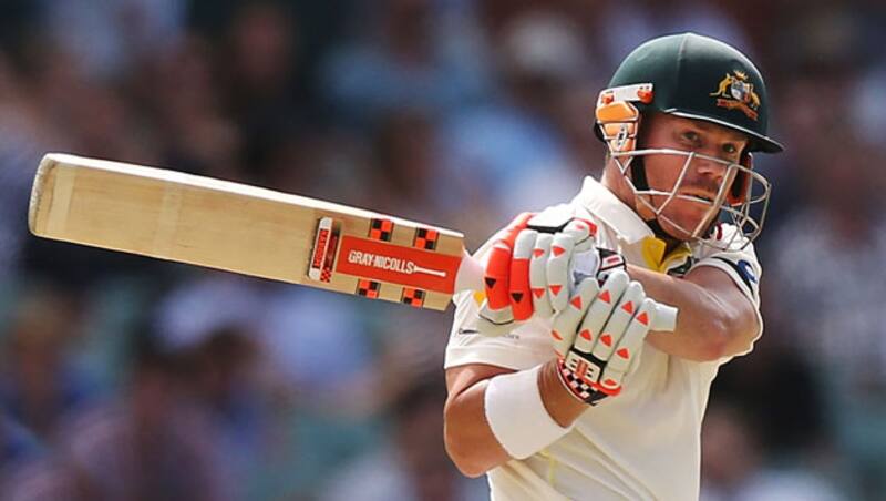 David Warner &copy; Getty Images 