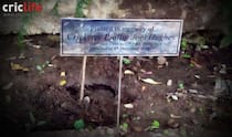 Gautam Gambhir plants a sapling in memory of Phil Hughes