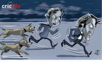 Tiger chased by a dog!