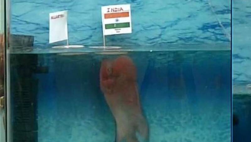 Chanakya II 'predicting' India as the winner of the semi-final. Photo Courtesy: ANI via Twitter