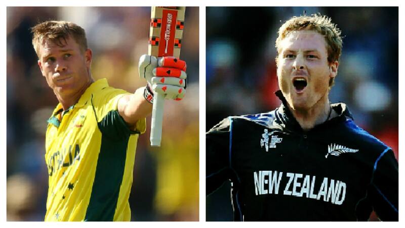 David Warner (left) and Martin Guptill play a key role in providing their sides an explosive start in the World Cup final &Acirc;&copy; Getty Images