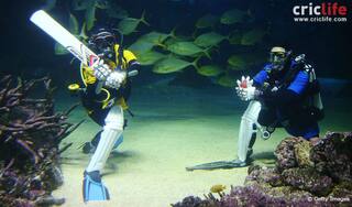 ICC Cricket World Cup 2015 fever hits underwater!