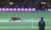 Kevin Pietersen should be selected for England if he scores runs, says Matthew Hoggard