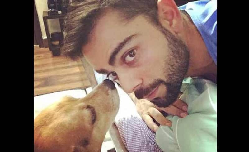 Virat Kohli with Bruno, his pet Beagle.