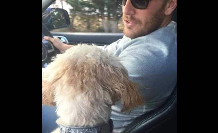 Aaron Finch take his dog out for a drive.