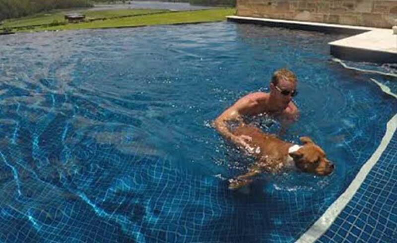 Chris Lynn finds time to take his dog for a swim.