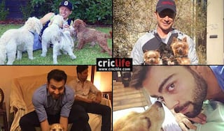 20 international cricketers and their love for dogs