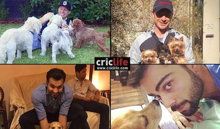 20 international cricketers and their love for dogs