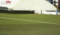 Fawad Ahmed: An Australian undercover!
