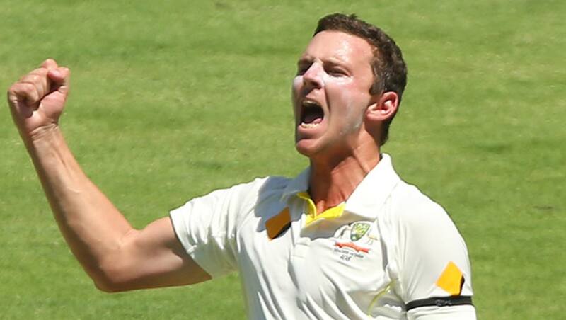 Josh Hazlewood claimed 16 wickets in 4 Ashes 2015 Tests &Acirc;&copy; Getty Images