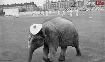 When Lord Ganesha came to bless Indian team in England