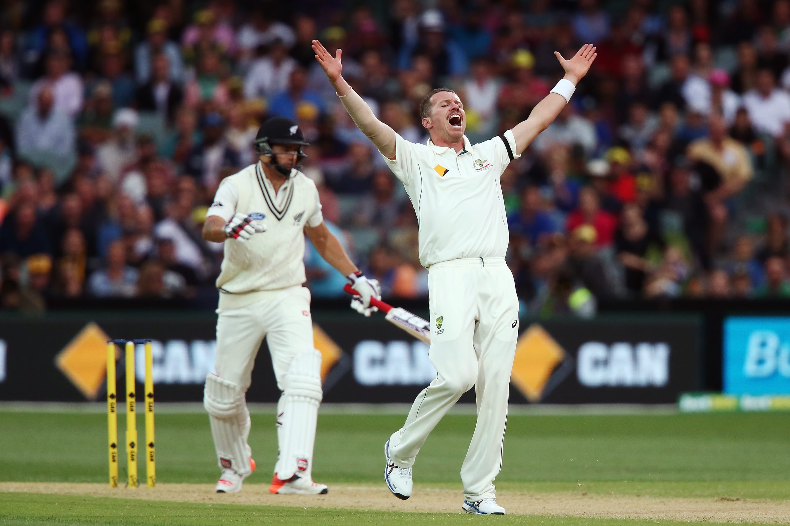 Peter Siddle: Need to perform to keep my place in Australian team ...