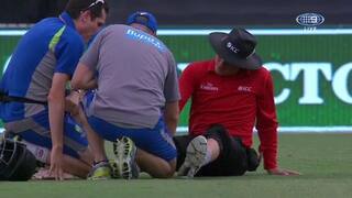 One umpire with helmet, another gets injured, then comes substitute Paul Wilson and Twitter goes berserk