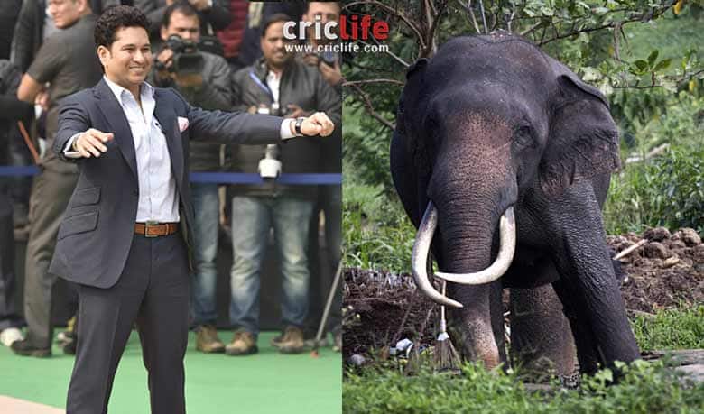 When VVS Laxman called Sachin Tendulkar, ‘an elephant’!