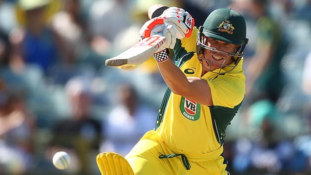 Image result for david warner ODI batting