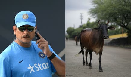 Ravi Shastri attacked by cow vigilantes after his “cow corner” clichés anger them