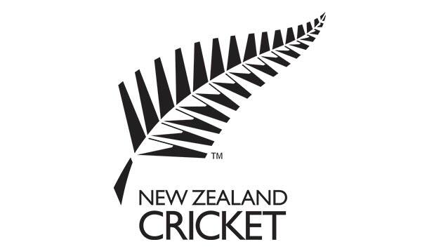 Super Smash 2016-17: Wellington Firebirds to face Central Stags in final