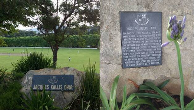 Plaques that pay homage to the rich sporting tradition of Wynberg Boys’ School © Arjun Srinivas