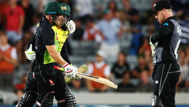 Alex Carey and Aaron Finch © Getty Images