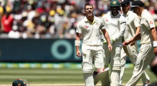 David Warner (Image courtesy: AFP)