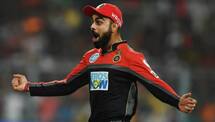 Moeen ali says real babbar lion is virat kohli