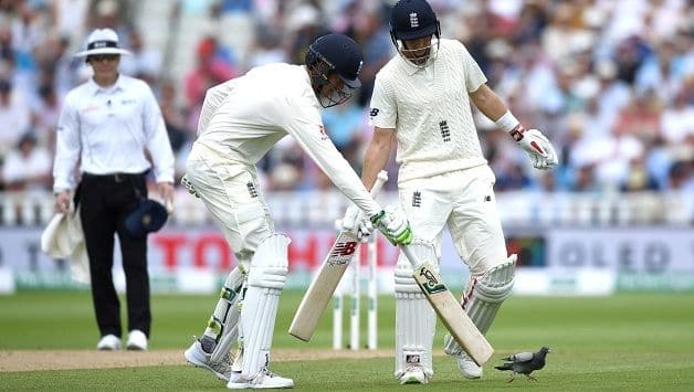Shoo! Joe Root and Keaton Jennings try to send the errant pigeon away © Getty Images