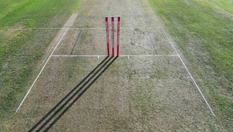 cricket stumps