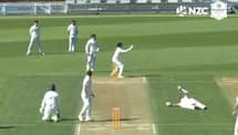 Watch : New Zealand’s pair of Nathan Smith, Michael Rippon run out in bizarre manner during Plunket Shield match