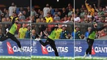 VIDEO: Glenn Maxwell take unbelievable catch in T20I against South Africa