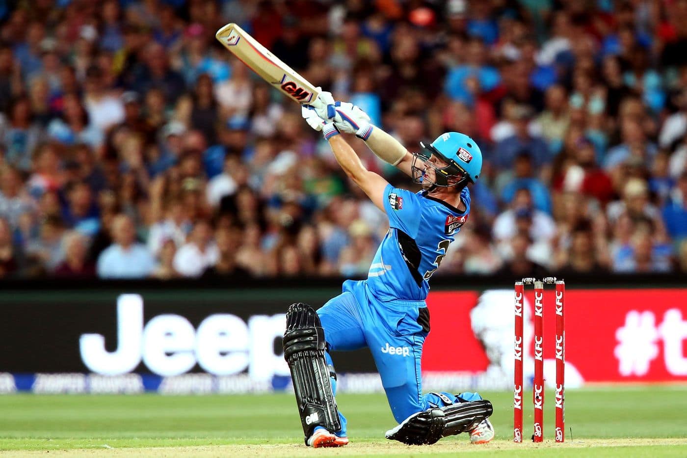 Big Bash League: Adelaide Strikers captain Travis Head signs four-year deal