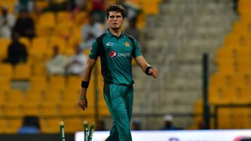 shaheen afridi