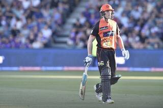 Big Bash League: Cameron Bancroft gets ‘booed’ after return in cricket
