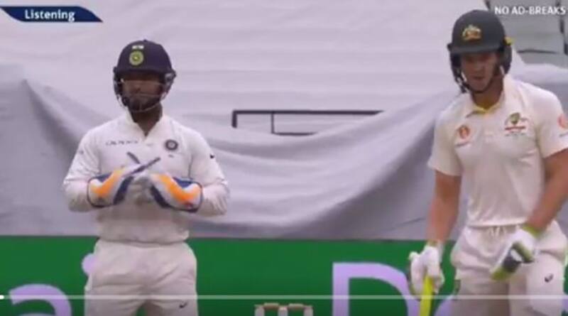 pant-paine