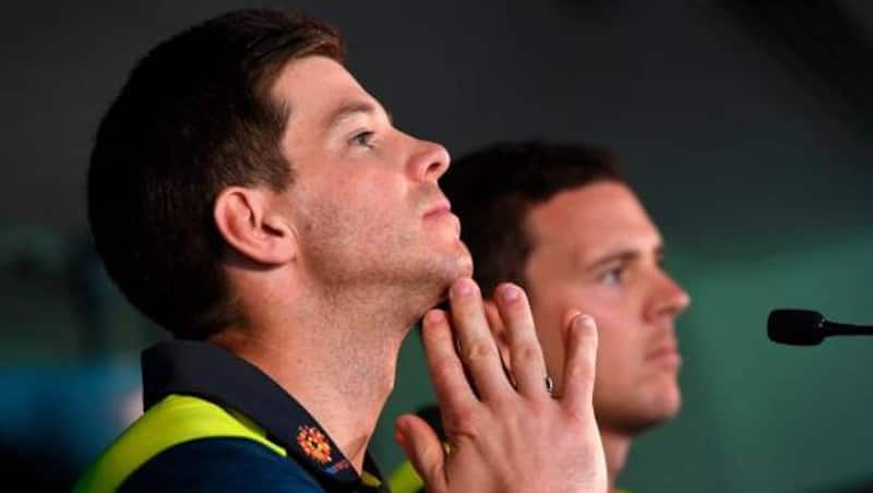 tim paine