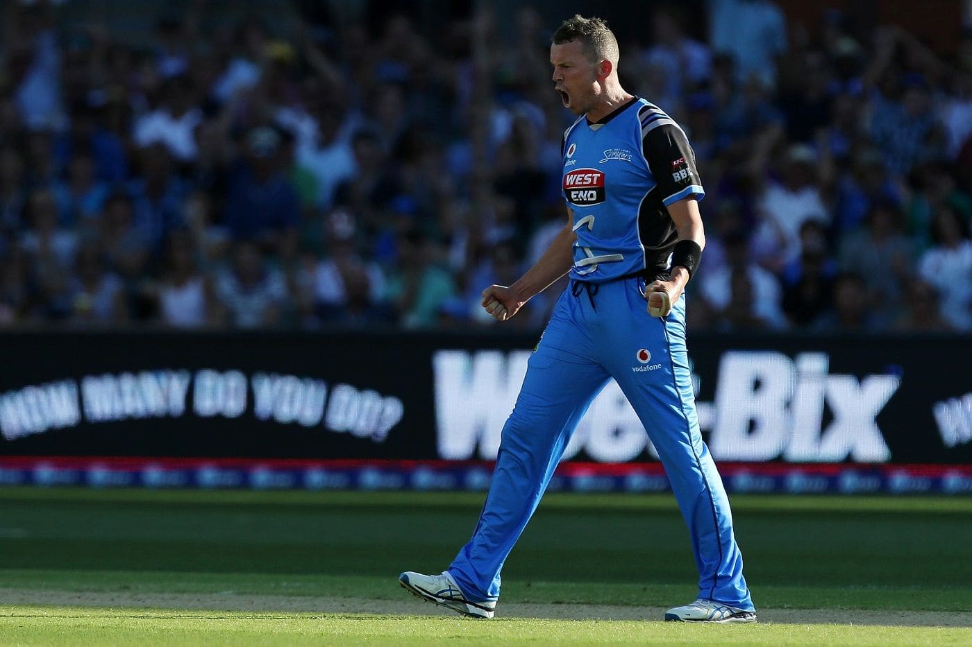 Peter Siddle in line for shock ODI recall as Australia eye resting pace trio: report