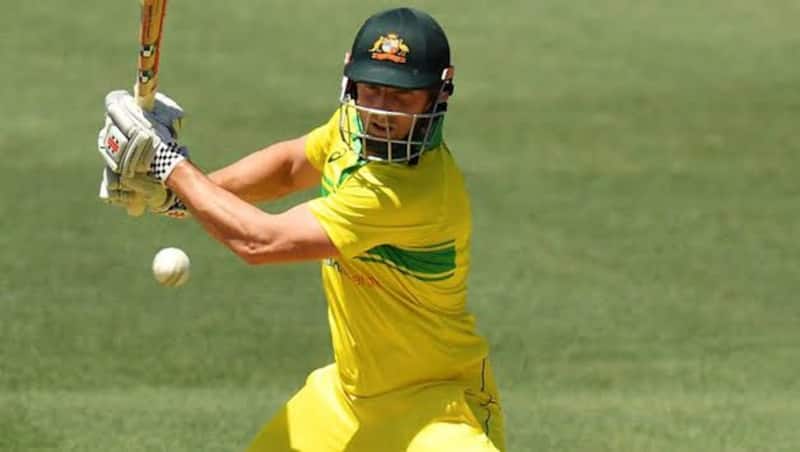 Shaun Marsh held up one end for Australia brilliantly.