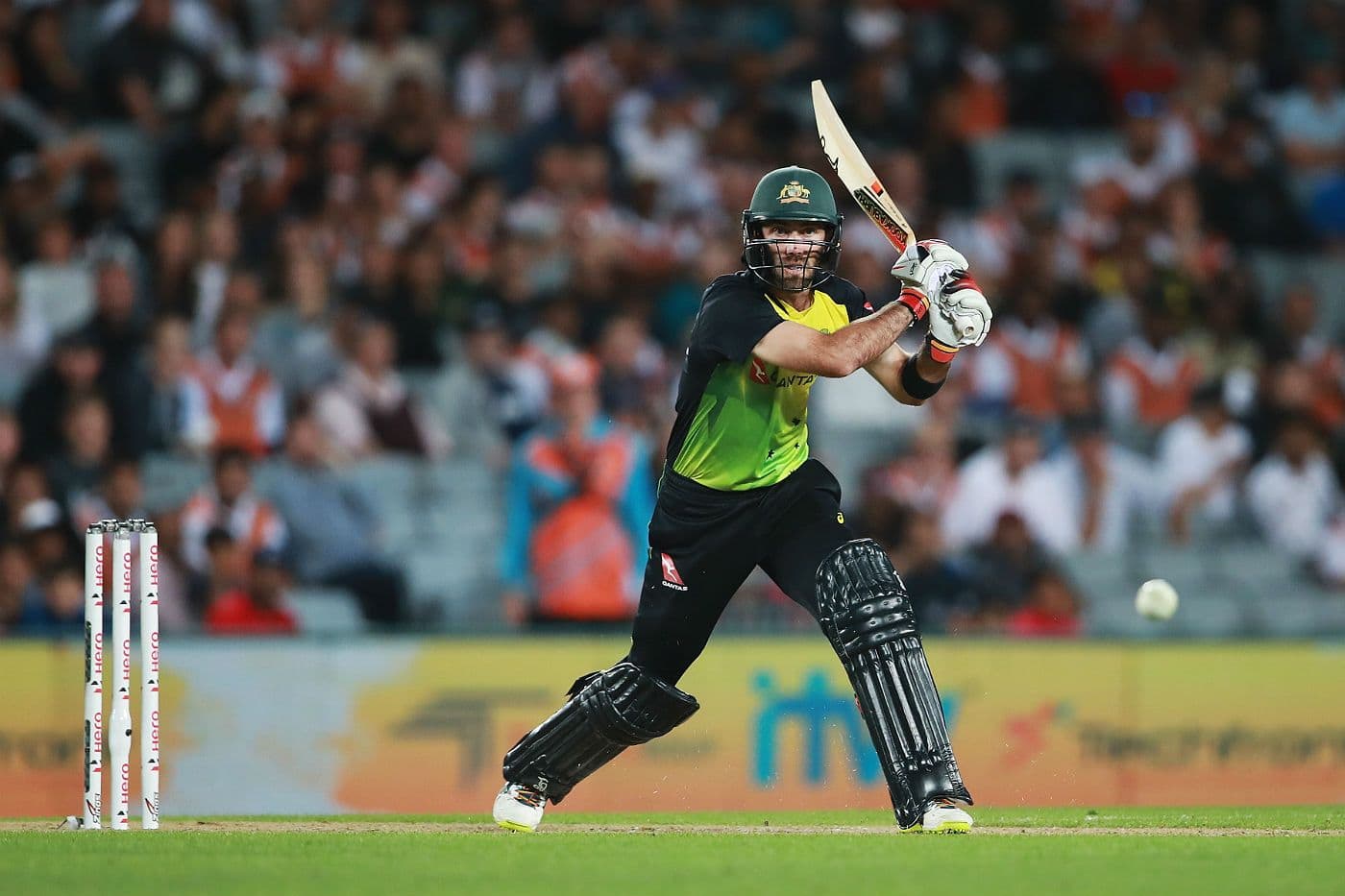Australian Cricket Awards: Glenn Maxwell named T20 Player of the Year