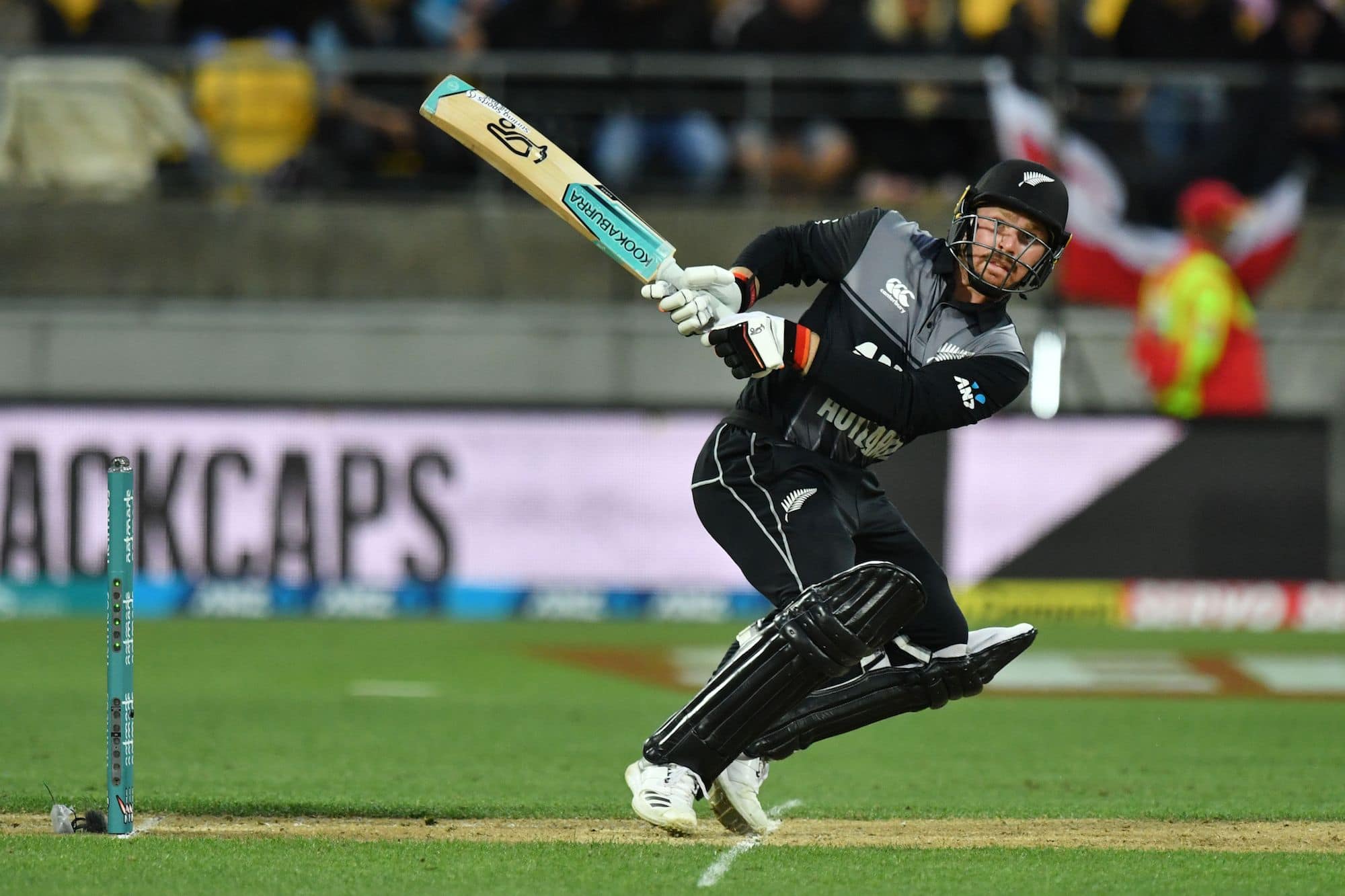 1st T20I: Tim Seifert the enforcer as New Zealand surge to 219